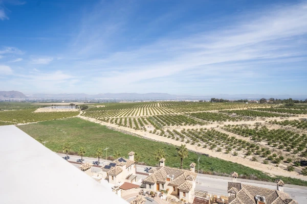 Luxury 6-Bedroom New Build Detached Villa with Pool – La Finca - Gallery Image 22